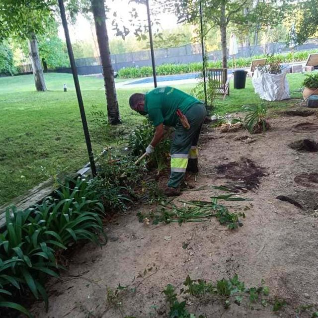 Garden Project trabajos realizados