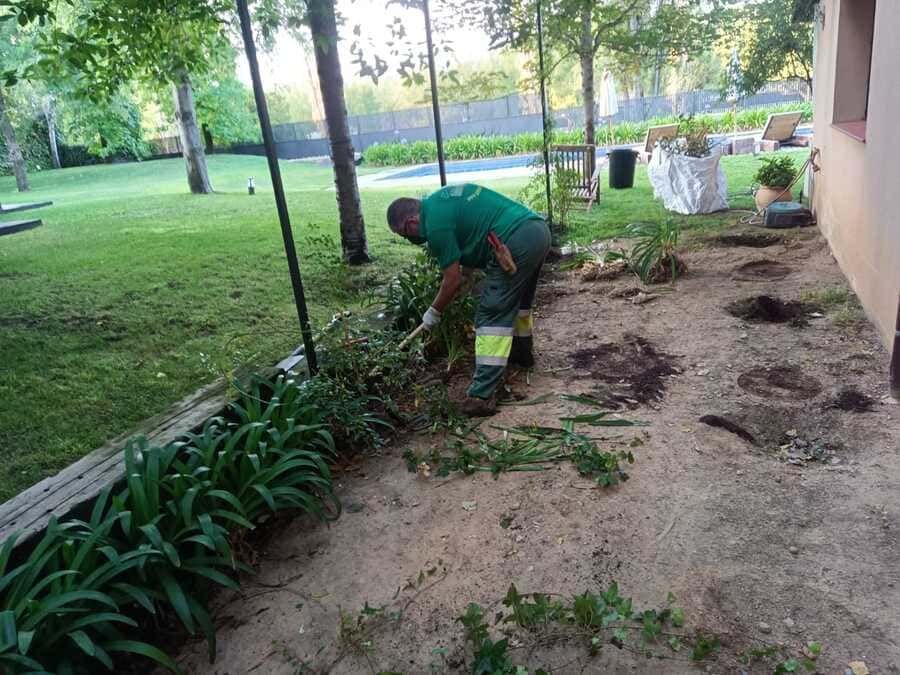 Garden Project trabajos realizados